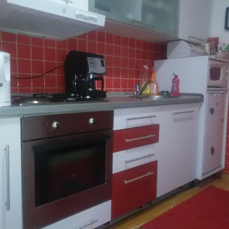 Visnjik 아파트 *